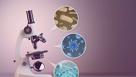 Microscope and a set of different bacterias and viruses. Space