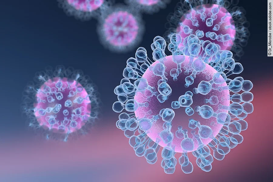 Influenza-Viren