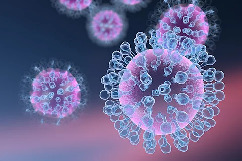 Influenza-Viren