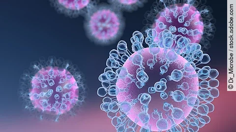 Influenza-Viren Influenza-Viren
