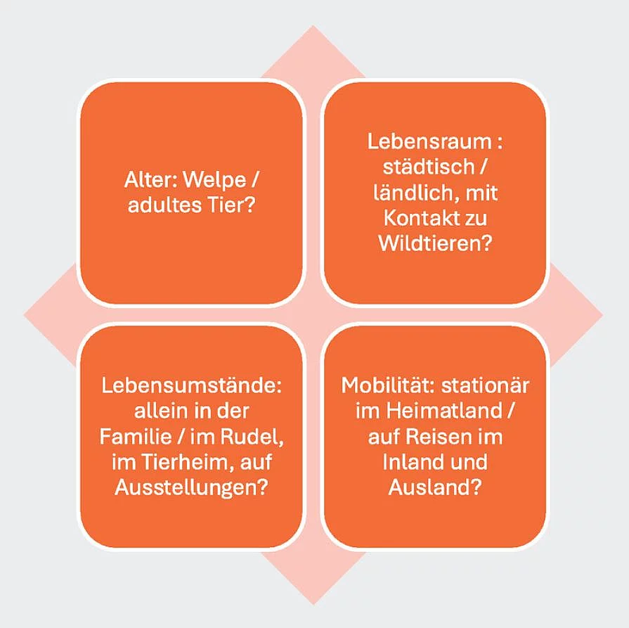 In einer orangenen Grafik werden die wichtigsten Fragestellungen für die Impfsprechstunde übersichtlich dargestellt. In einer orangenen Grafik werden die wichtigsten Fragestellungen für die Impfsprechstunde übersichtlich dargestellt.