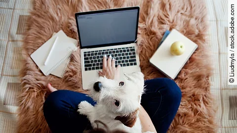 Junge Frau mit ihrem Hund im Homeoffice. Junge Frau mit ihrem Hund im Homeoffice.