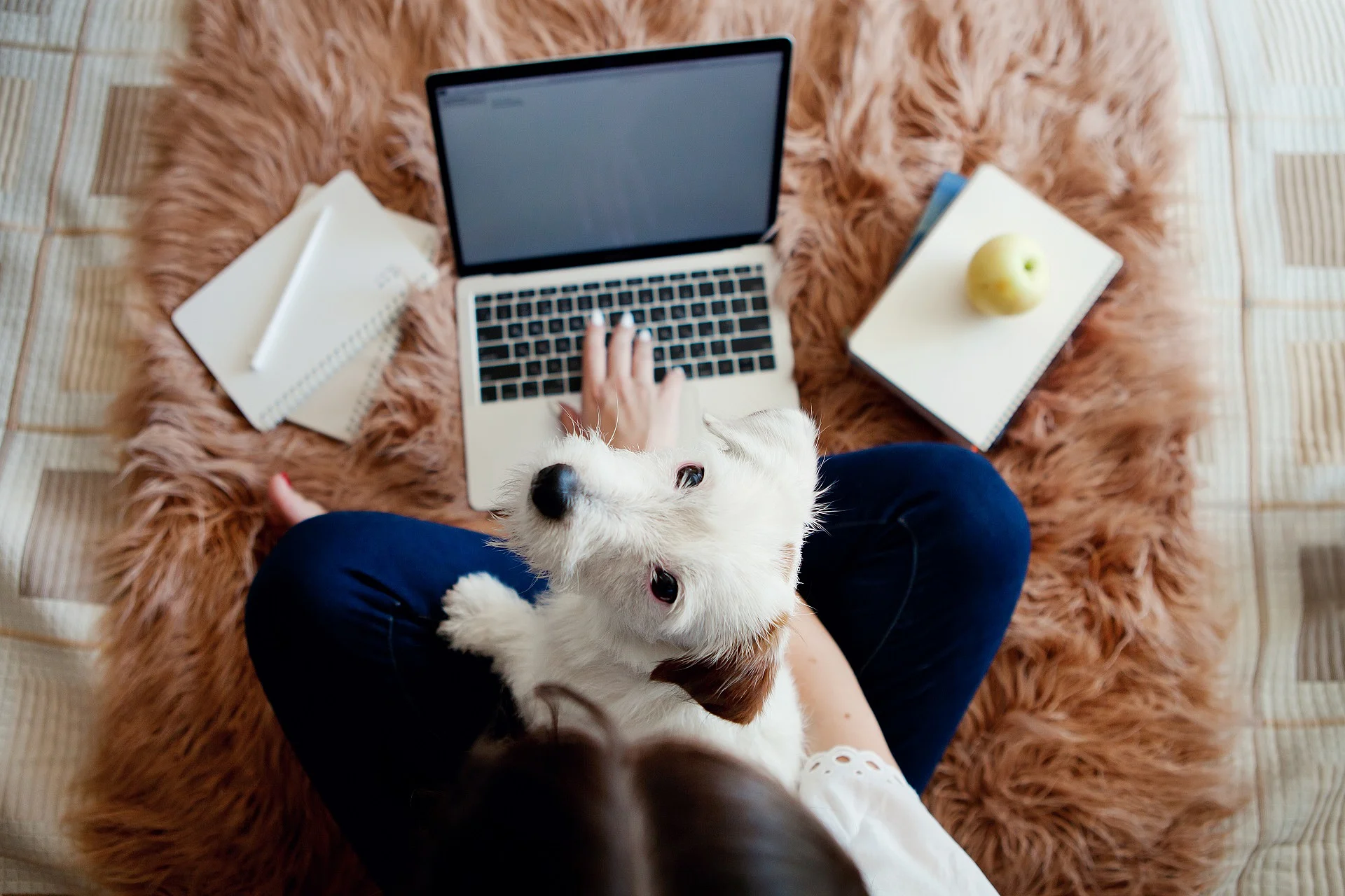 Junge Frau mit ihrem Hund im Homeoffice.