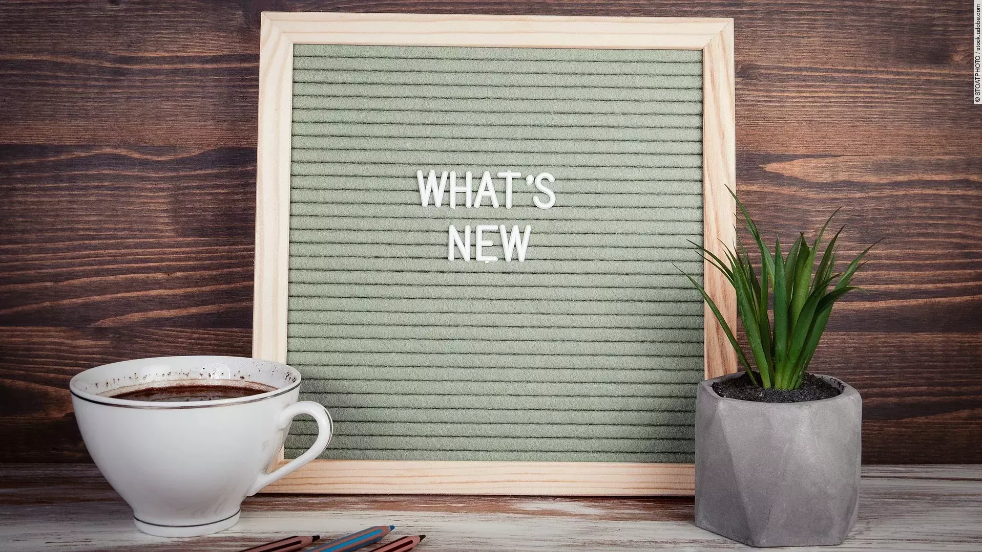 Auf einer Holztafel steht in weißen Buchstaben "WHATS NEW". Vor der Tafel steht auf der einen Seite eine Kaffeetasse und auf der anderen Seite eine grüne Topfpflanze. 