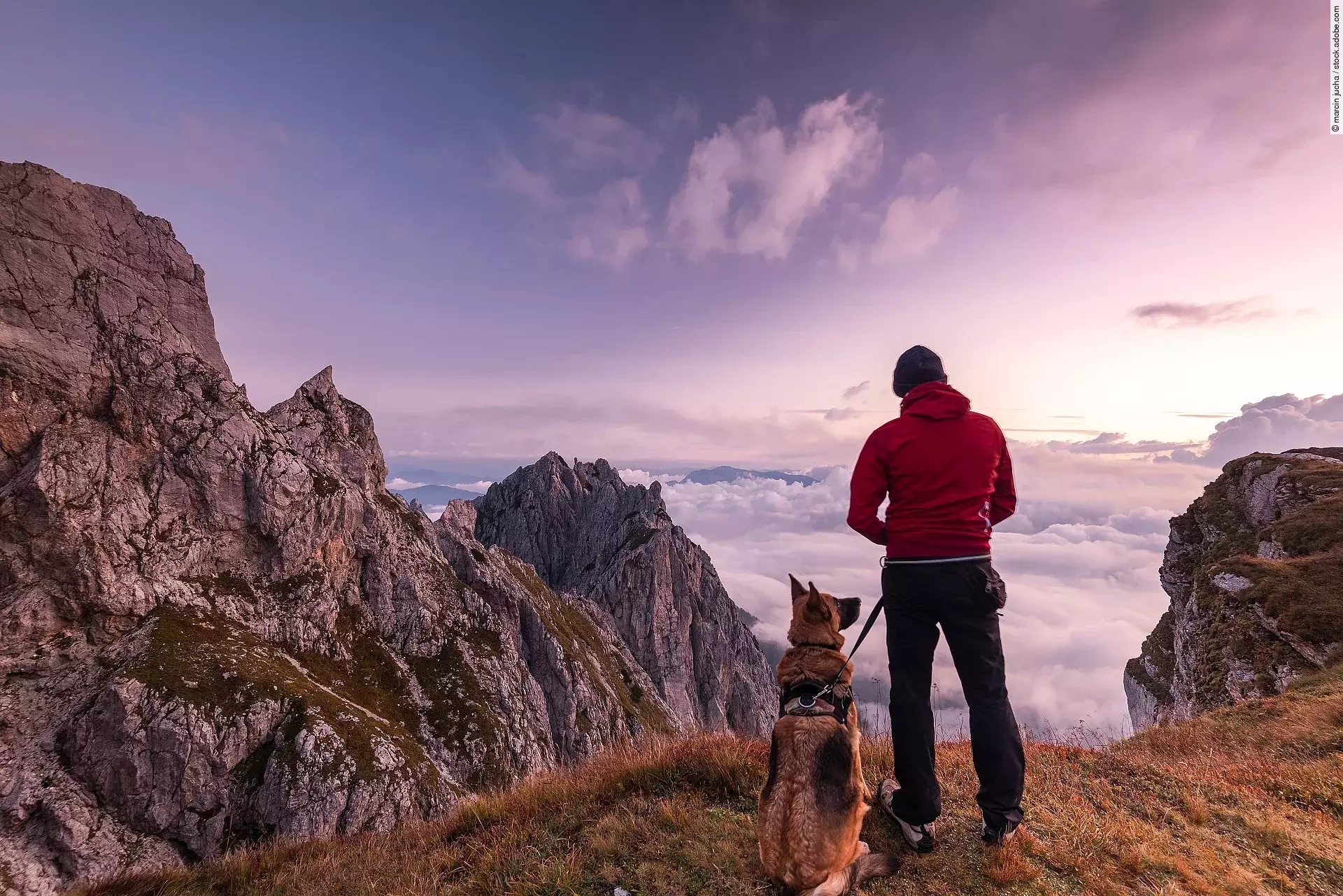 Ein Mann steht mit seinem Schäferhund zusammen auf einem Berggipfel und genießt die Aussicht. Der Himmel leuchtet in allen Rosatönen, da gerade die Sonne aufgeht.