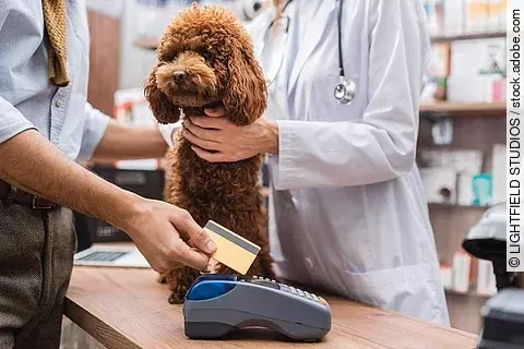 Ein Mann bezahlt mit seiner Geldkarte an einem Bezahlterminal. Vor ihm sitzt ein Hund. Der Hund ist ein Pudel und hat braunes Fell. Auch eine Tierärztin steht daneben.