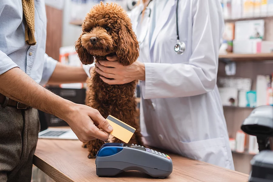 Ausschnitt eines Mannes, der mit Kreditkarte bezahlt, neben einem Pudel und einem Tierarzt in einer Tierhandlung. Ein Mann bezahlt mit seiner Geldkarte an einem Bezahlterminal. Vor ihm sitzt ein Hund. Der Hund ist ein Pudel und hat braunes Fell. Auch eine Tierärztin steht daneben.