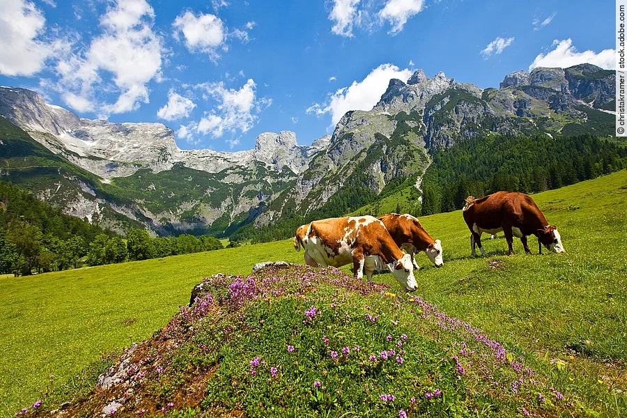 Eiskogel im Tennengebirge