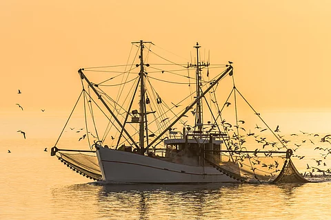 Fischkutter
