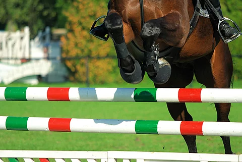 Springreiten