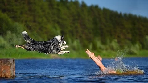 The girl and dog jump together to the water