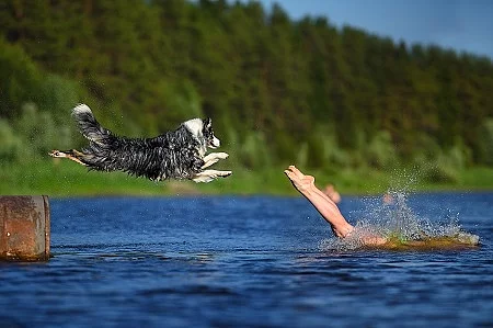 The girl and dog jump together to the water