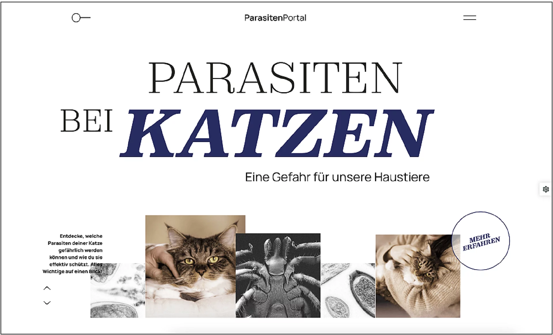 Parasitenportal