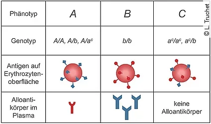 Umgeleitetes Druckdokument von Remotedesktop