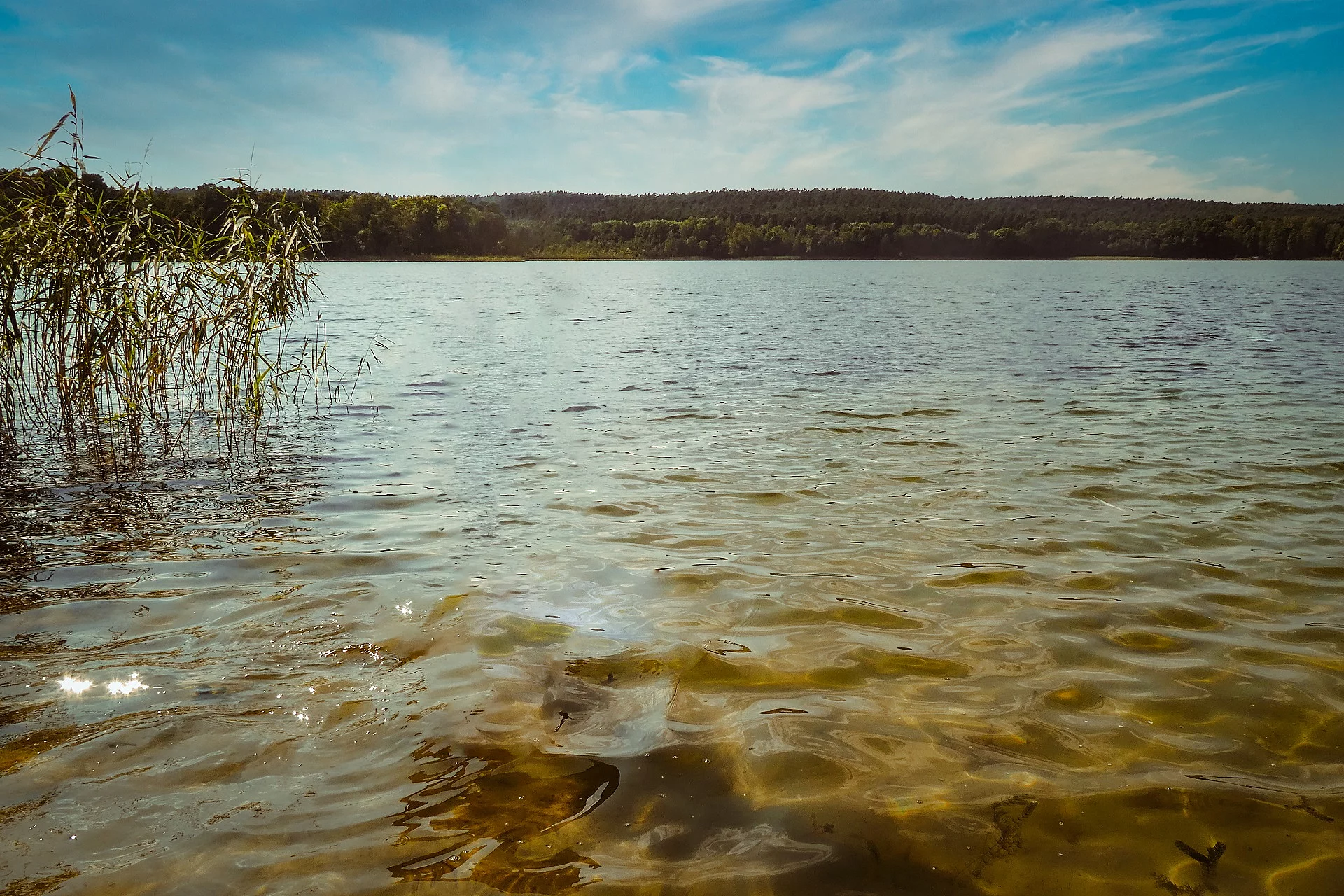Ufer von einem See.