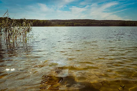 Ufer von einem See.