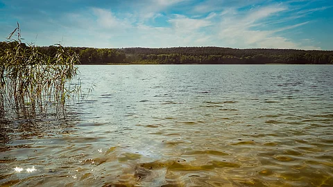 Ufer von einem See.