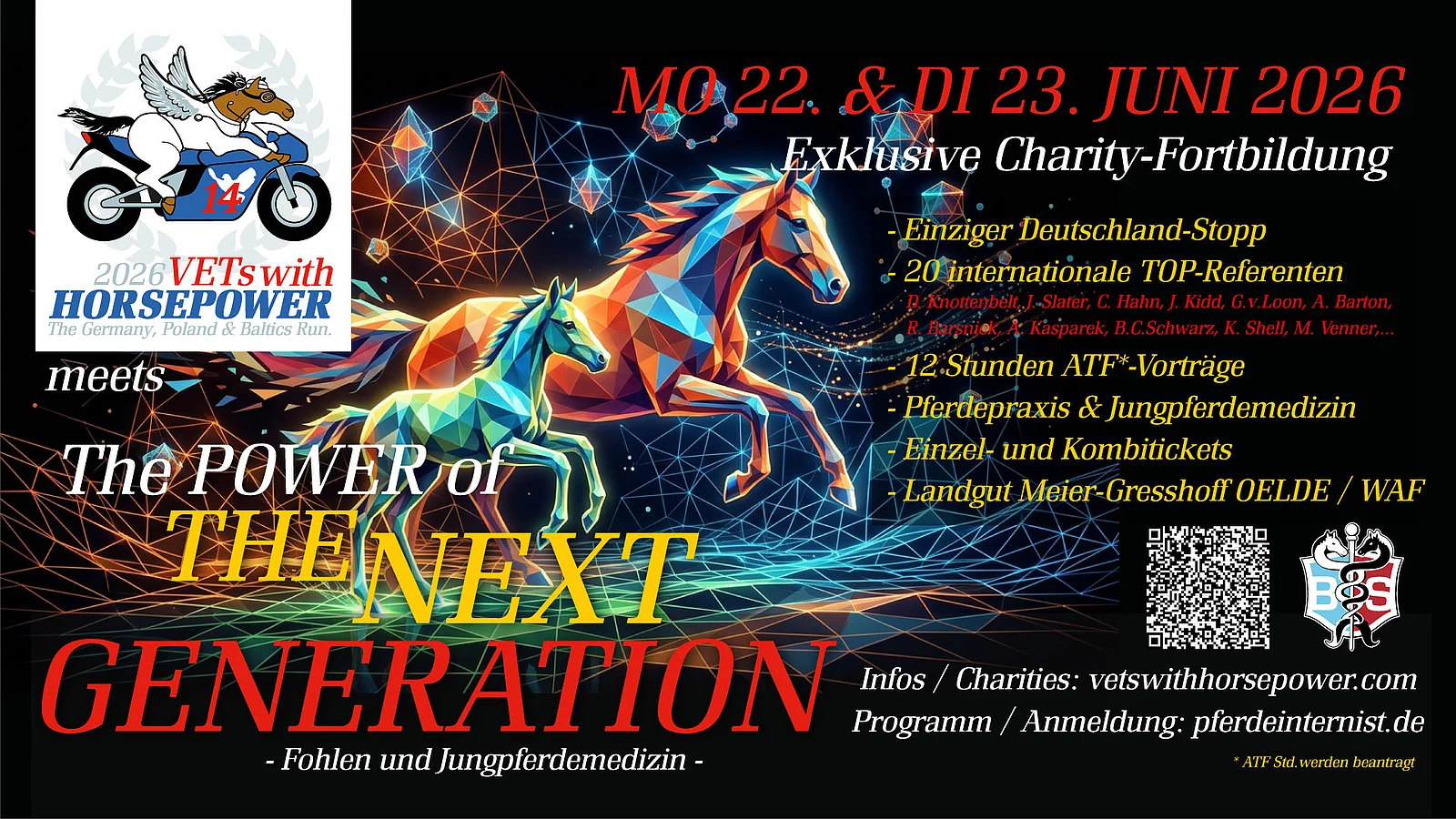 Illustrierte Pferde, Flyer 
