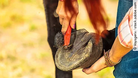 Person cleaning horse hoof with hooves