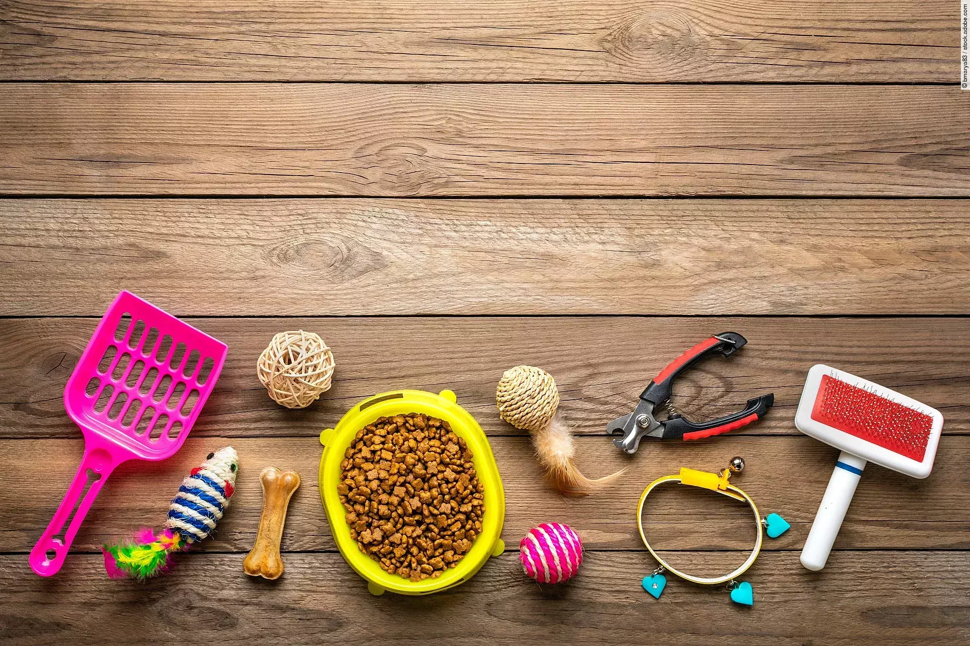 Auf dem Fußboden liegen unterschiedliche Haustier-Bedarfsartikel. Darunter eine pinke Katzenstreuschaufel, eine gelbe Futterschale voll mit Trockenfutter, verschiedenes Spielzeug und eine Bürste.