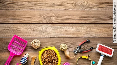 Auf dem Fußboden liegen unterschiedliche Haustier-Bedarfsartikel. Darunter eine pinke Katzenstreuschaufel, eine gelbe Futterschale voll mit Trockenfutter, verschiedenes Spielzeug und eine Bürste.
