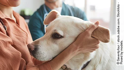 Besitzerin hält den Kopf ihres Hundes im Arm, im Hintergrund ist der Tierarzt zu sehen.