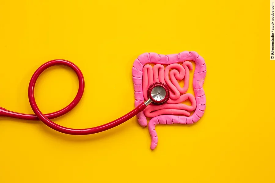 Auf gelben Hintergrund liegt ein rosa Darm aus Knete. Dabei hört ein rotes Stethoskop den Darm ab.