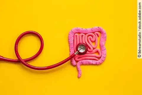 Auf gelben Hintergrund liegt ein rosa Darm aus Knete. Dabei hört ein rotes Stethoskop den Darm ab.