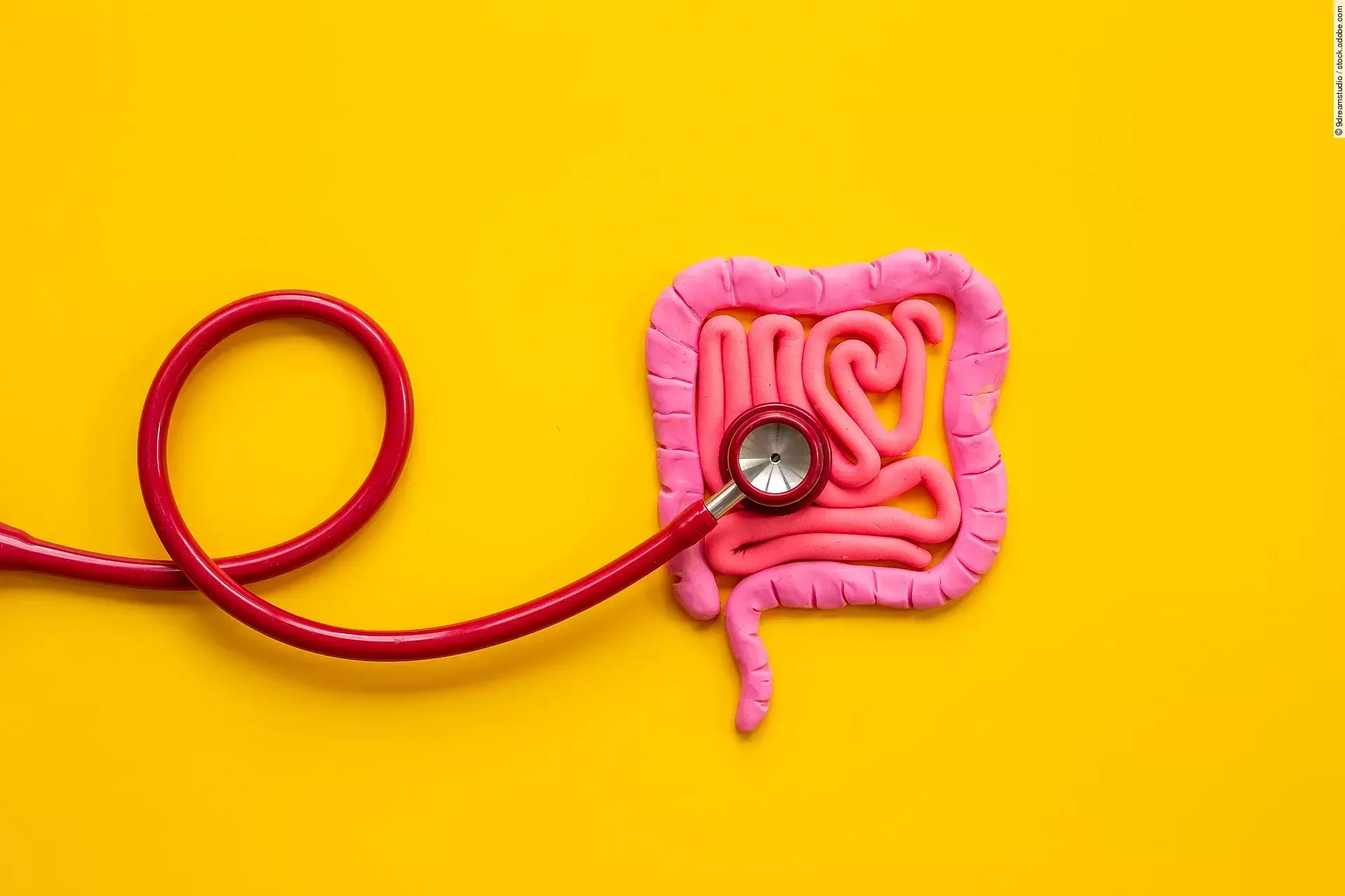 Auf gelben Hintergrund liegt ein rosa Darm aus Knete. Dabei hört ein rotes Stethoskop den Darm ab.