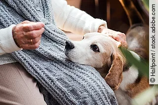An elderly woman with a dog sitting outdoors on a terrace on a s An elderly woman with a dog sitting outdoors on a terrace on a s