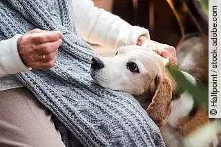 An elderly woman with a dog sitting outdoors on a terrace on a s An elderly woman with a dog sitting outdoors on a terrace on a s