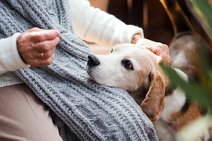 An elderly woman with a dog sitting outdoors on a terrace on a s