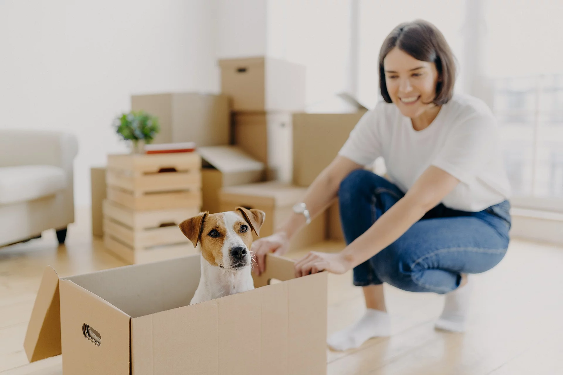 Frau mit ihrem Hund in neuer Wohnung