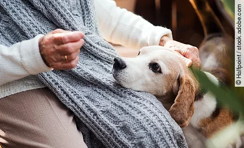 Eine nicht erkennbare ältere Person sitzt auf einer Terrasse, auf dem Schoß hat ein Hund seinen Kopf abgelegt.