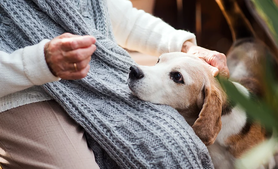 Eine nicht erkennbare ältere Person sitzt auf einer Terrasse, auf dem Schoß hat ein Hund seinen Kopf abgelegt.