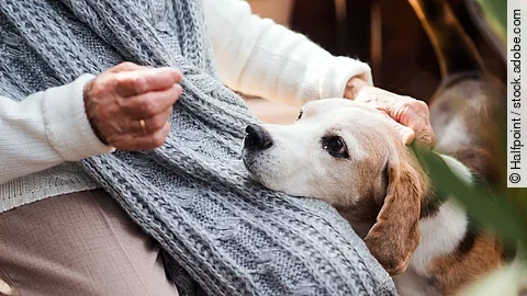 Eine nicht erkennbare ältere Person sitzt auf einer Terrasse, auf dem Schoß hat ein Hund seinen Kopf abgelegt.