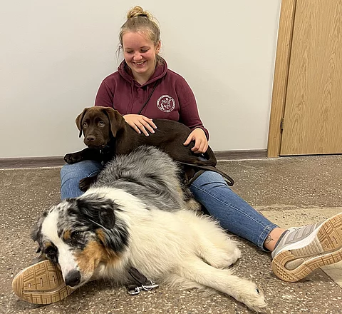 Merle mit ihren Hunden Merle mit ihren Hunden