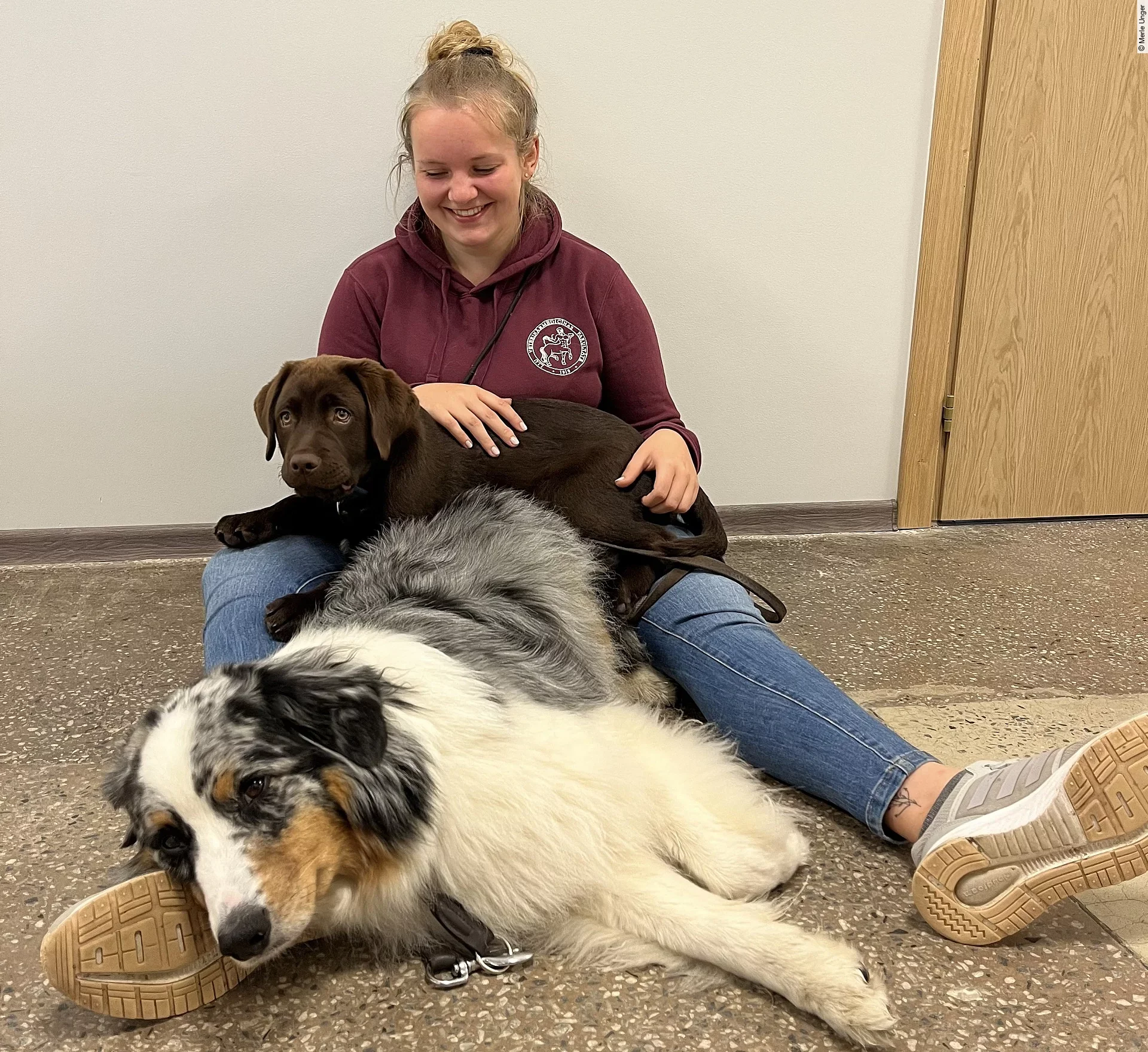 Merle mit ihren Hunden Merle mit ihren Hunden