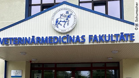Merle steht mit ihrer Diplomarbeit in der Hand vor dem Universitätsgebäude. Sie trägt schicke Kleidung und lächelt in die Kamera.