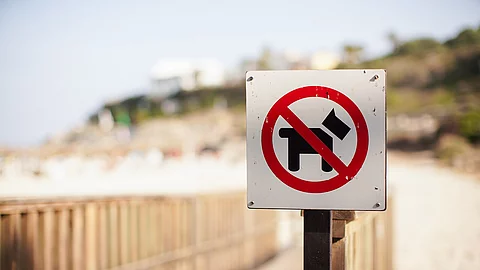 Hunde verboten