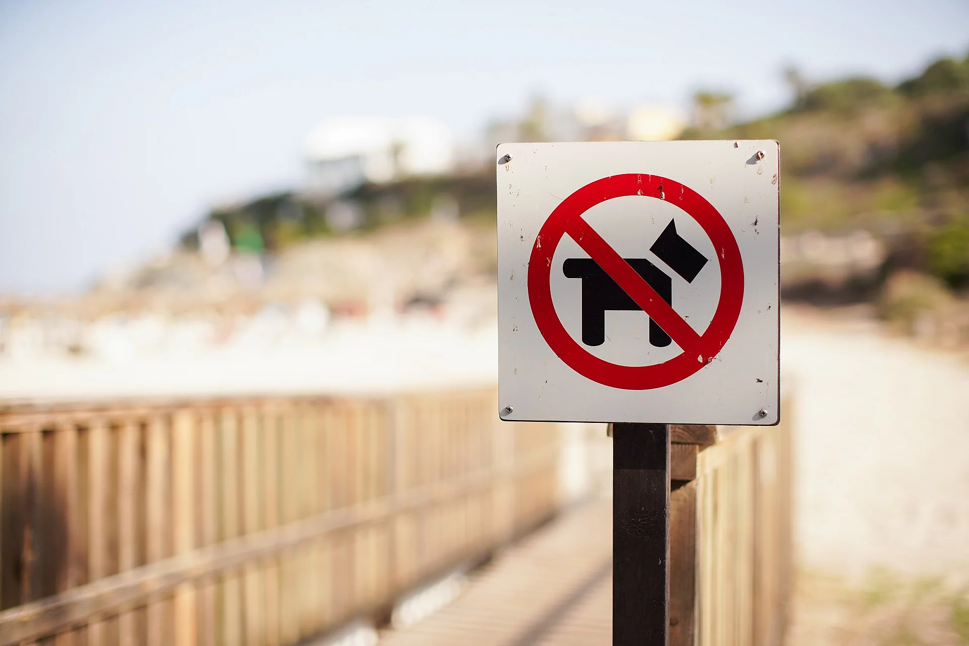 Hunde verboten