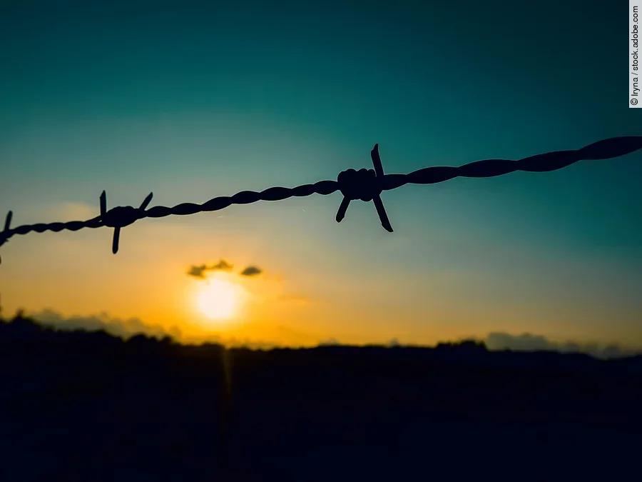 Stacheldraht Stacheldraht