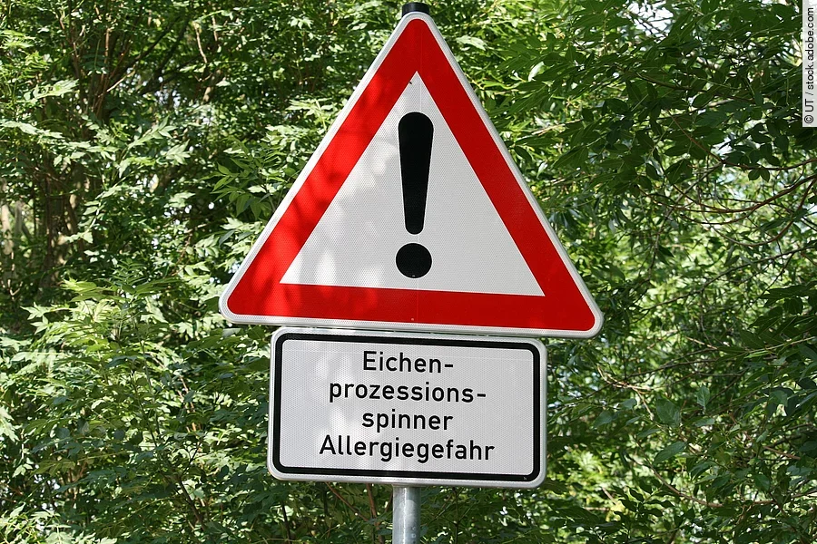 Allergie - Gefahr durch Eichenprozessionsspinner Ein Hinweisschild mit der Aufschrift: Allergie - Gefahr durch Eichenprozessionsspinner