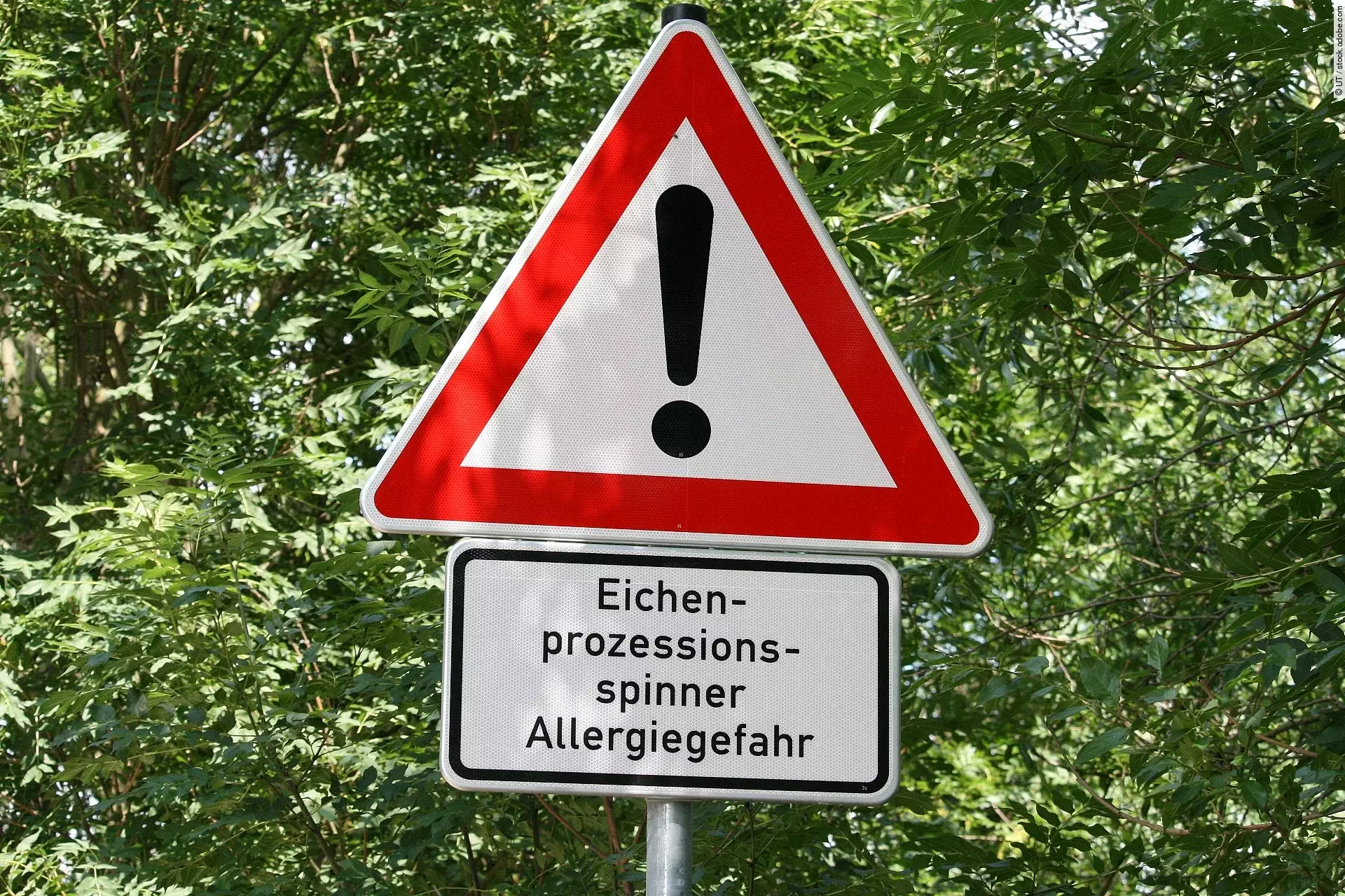 Ein Hinweisschild mit der Aufschrift: Allergie - Gefahr durch Eichenprozessionsspinner