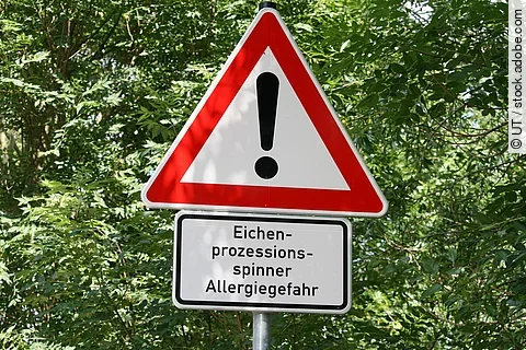 Ein Hinweisschild mit der Aufschrift: Allergie - Gefahr durch Eichenprozessionsspinner