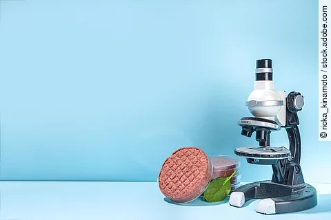 Vor einem blauen Hintergrund steht ein Mikroskop neben pflanzlichen Fleischalternativen aus Petrischalen.