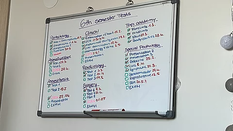 Wandtafel mit der Prüfungsübersicht des 6. Semesters Tiermedizin.