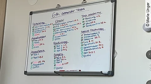 Wandtafel mit der Prüfungsübersicht des 6. Semesters Tiermedizin.
