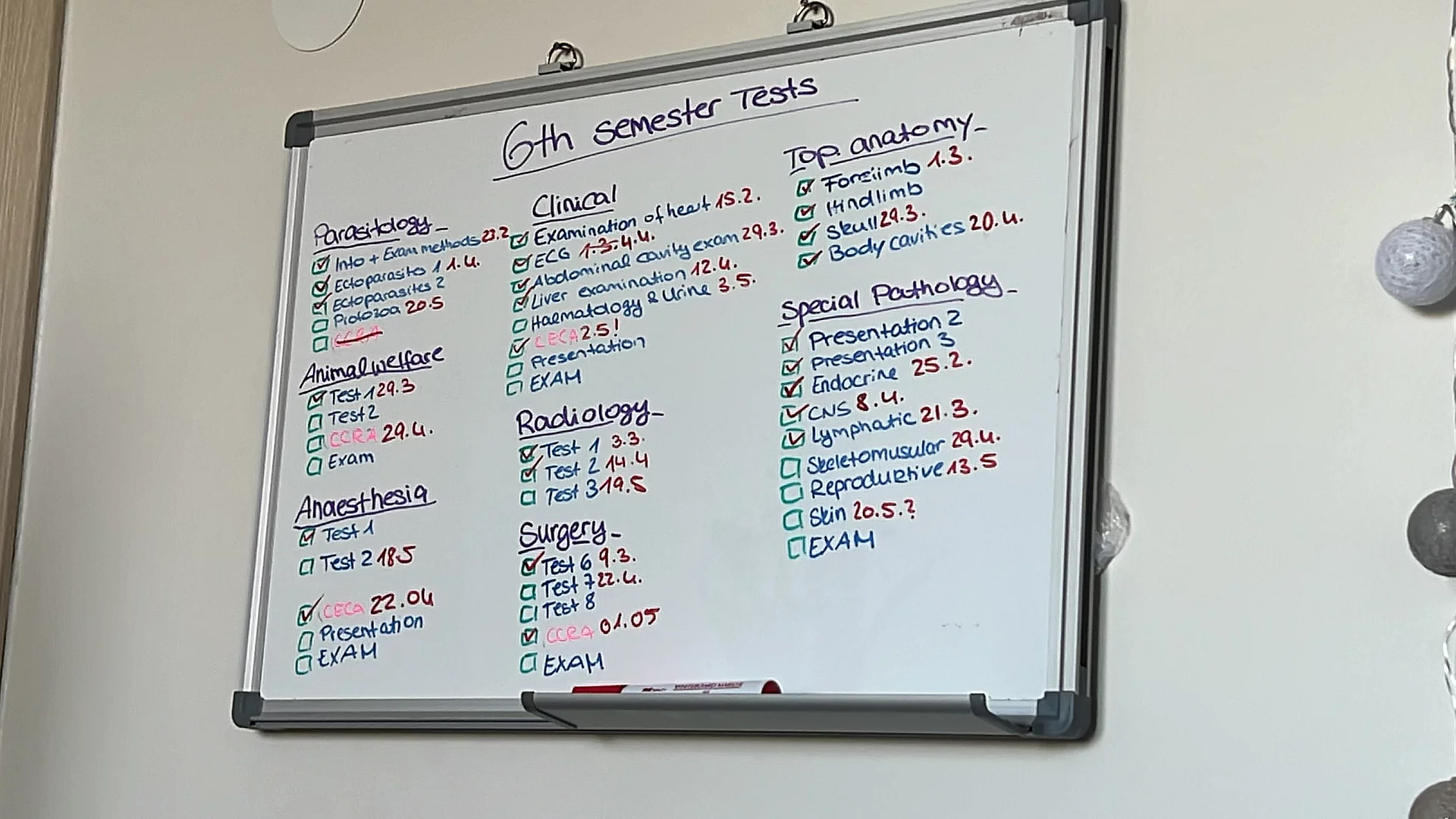 Wandtafel mit der Prüfungsübersicht des 6. Semesters Tiermedizin.