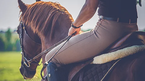 Reiter auf Pferd auf Weide